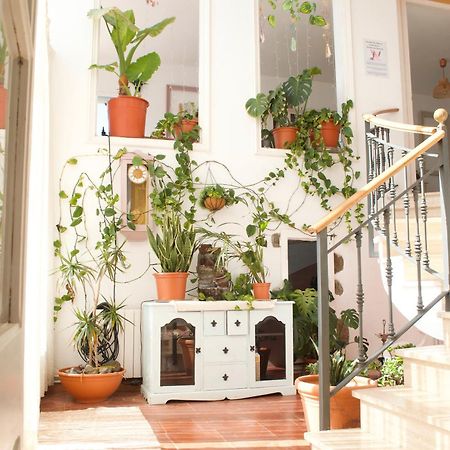 El Riu Del Cel Villa Лорет де Мар Екстериор снимка